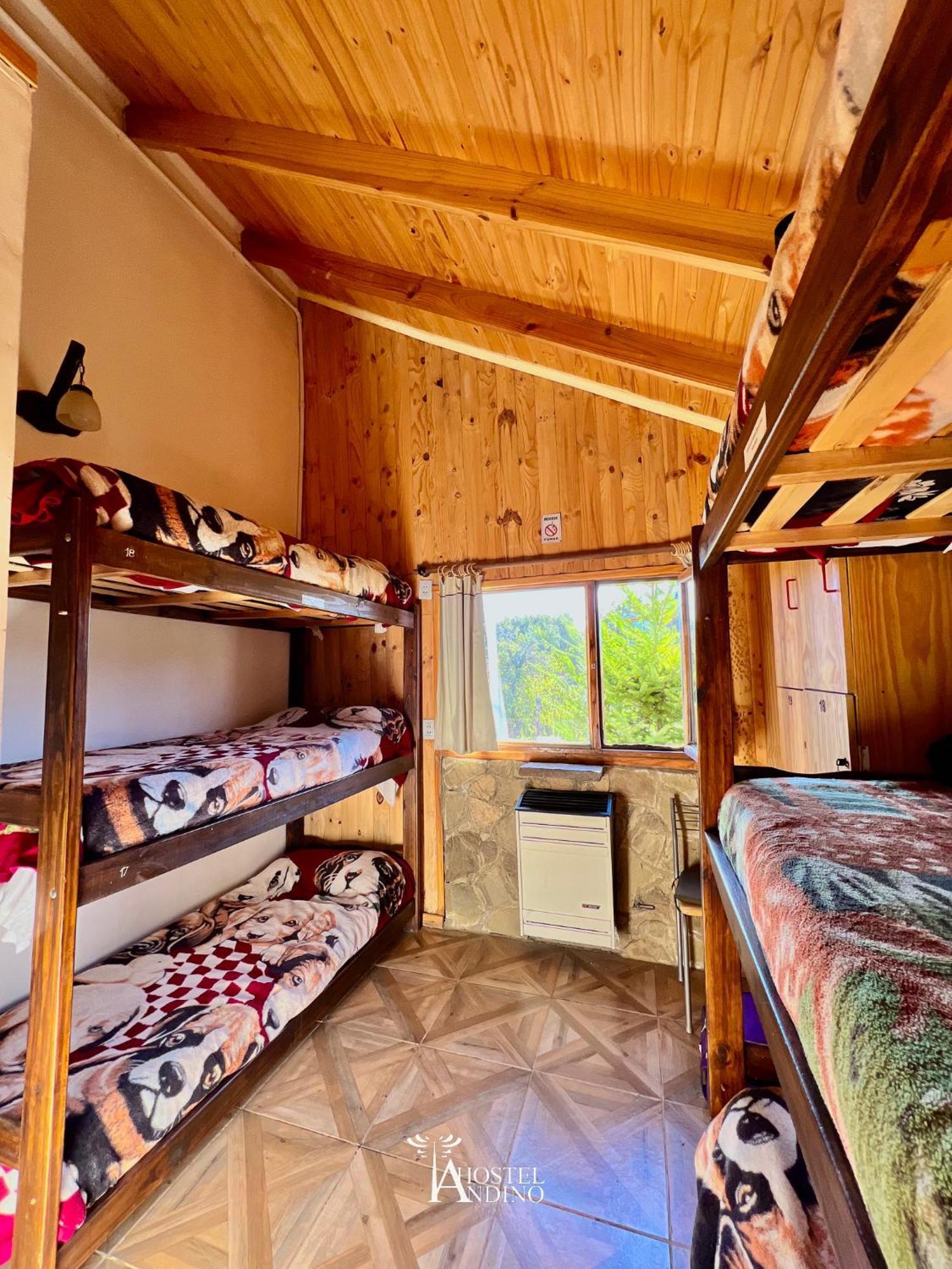 Hostel Andino Villa Pehuenia Ngoại thất bức ảnh