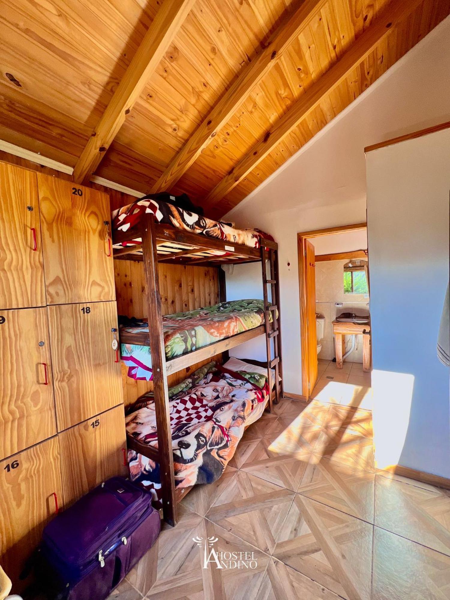 Hostel Andino Villa Pehuenia Ngoại thất bức ảnh
