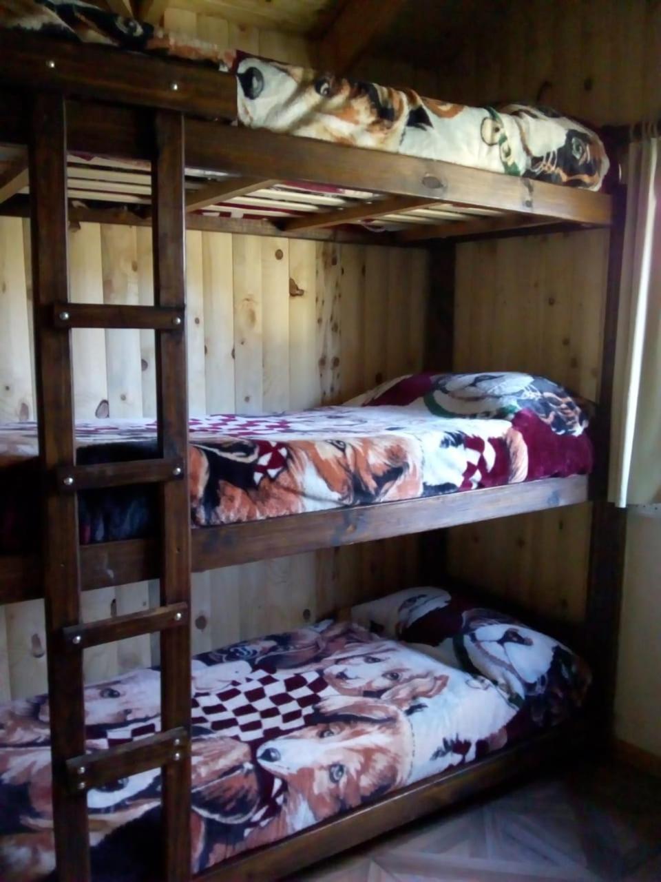 Hostel Andino Villa Pehuenia Ngoại thất bức ảnh